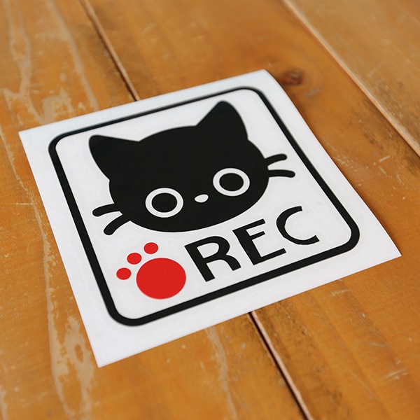 �ɥ饤�֥쥳������REC ǭ���饹�� ���åƥ��󥰥��ƥå���