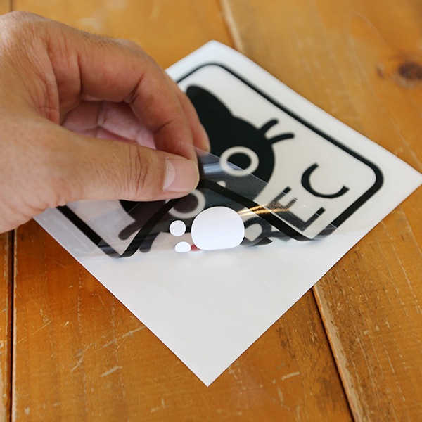 �ɥ饤�֥쥳������REC ǭ���饹�� ���åƥ��󥰥��ƥå���