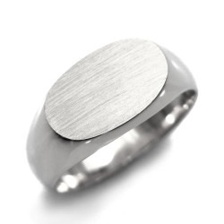 メンズリング 横小判 印台   プラチナ エメットジュエリー 保証書付 【R】