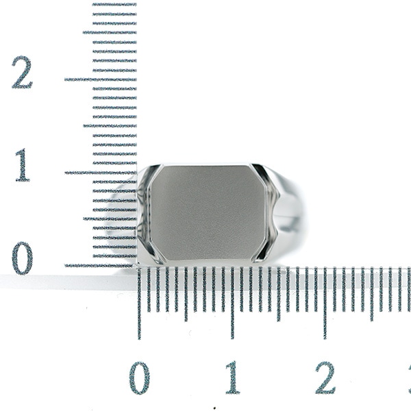 メンズリング 印台(J-6) シグネットリング プラチナ エメットジュエリー 保証書付 【R】