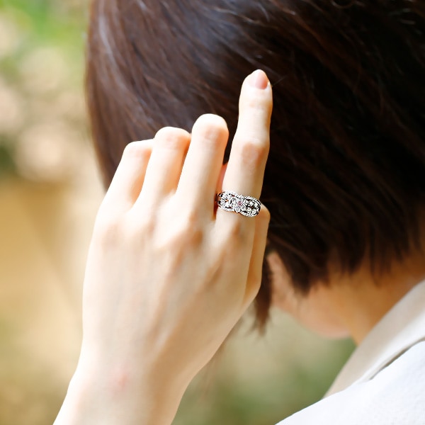 Pristine プリスティン ダイヤモンドピール Pristine | メニュー対応機器 | 製品情報 | タカラベルモント