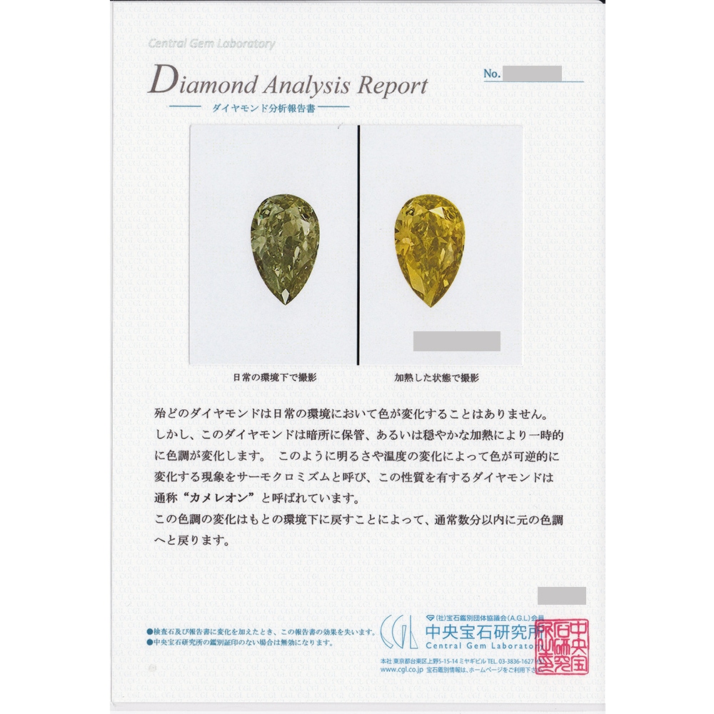 カメレオンダイヤモンド リング 0.091ct SI2 FANCY DARK GRAY