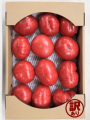 【埼玉久喜農場】特大トマトセット 10玉～15玉入り （送料全国500円）