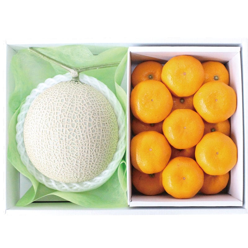 愛知県産マスクメロン1玉&ハウスみかん1.2kg