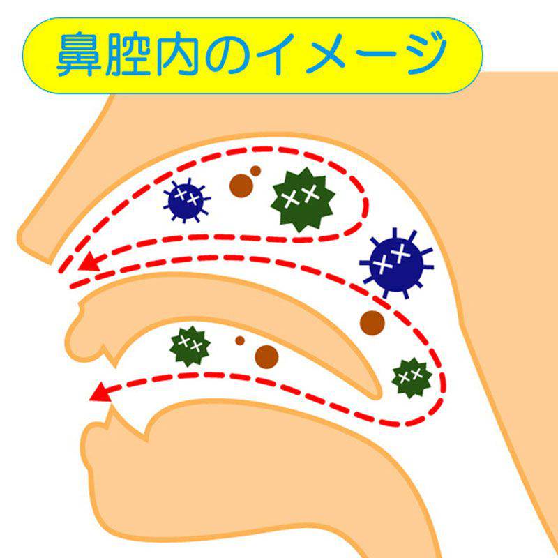 東京鼻科学研究所 鼻洗浄 ハナクリーンS 本体