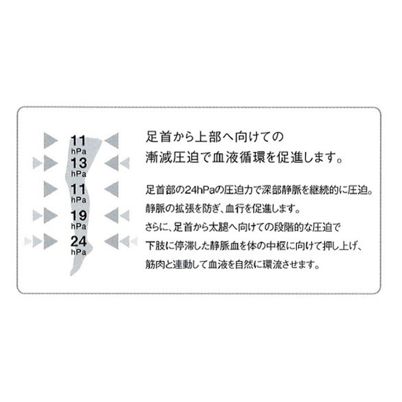 トータルメディカルサプライ フィットプロ ストッキング 【各種】