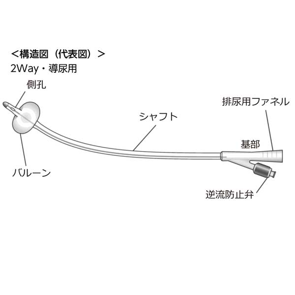 テルモ サフィードシリコーンバルーンカテーテル ソフトタイプ（10本）【各サイズ】