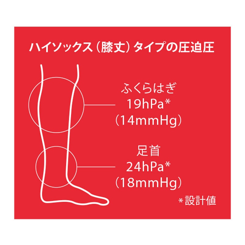 カーディナルヘルス T.E.D. サージカル ストッキング ハイソックス