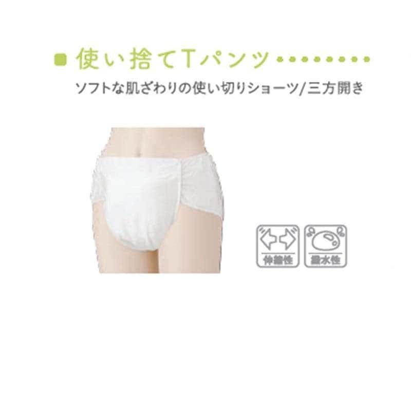 大衛 使い捨てTパンツ 【各種】
