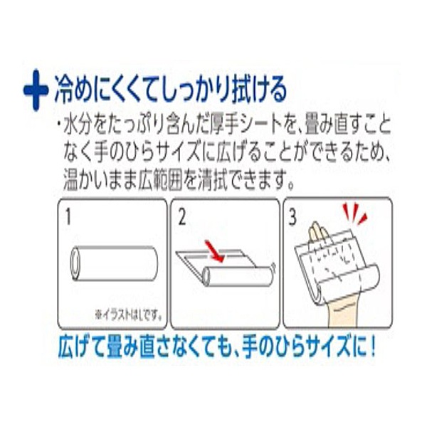 オオサキメディカル PH スティックタオル 個包装 【各種】