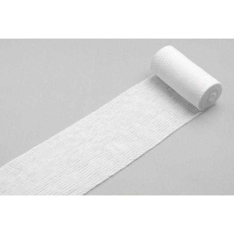 竹虎 レポSS 10巻 【各種】