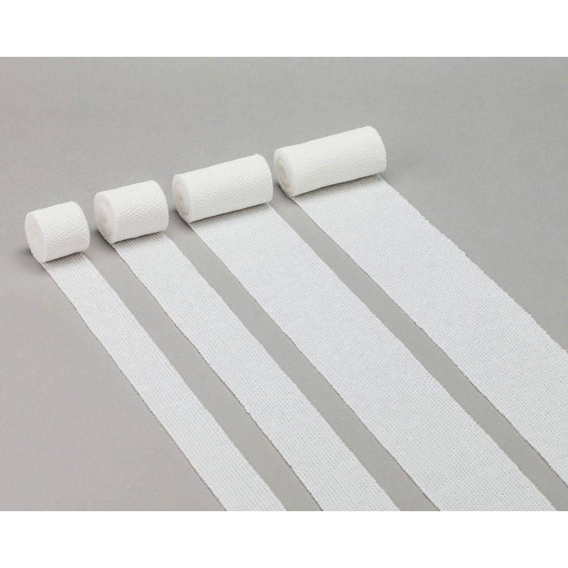 竹虎 レポSS 10巻 【各種】