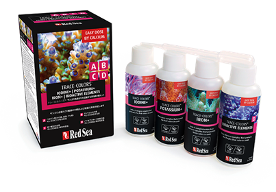 �ȥ졼�����顼�� ABCD���åȡ���100����