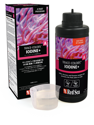 �ȥ졼�����顼�����ʥ������ǥ���˥ԥ󥯿��Ȥ���