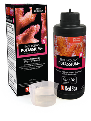 �ȥ졼�����顼���¡ʥݥ�����������Ȥ�