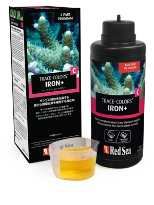 �ȥ졼�����顼���áʥ���������п��Ȥ�