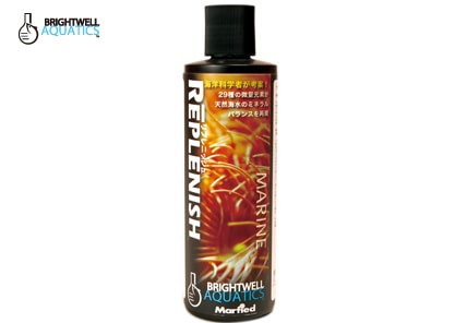 ��ץ�˥å��塡��29��������̸���