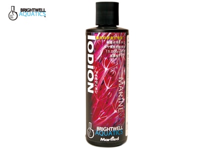 �������ǥ����󡡢���ǻ�̥襦��