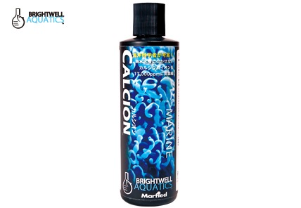 ���륷����