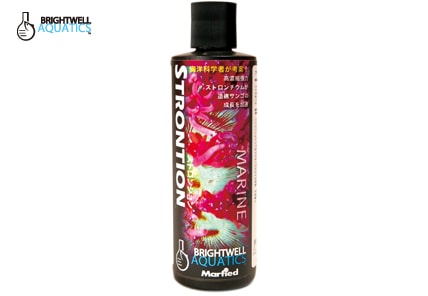 ȥ󥷥󡡢󥴤ιʷɬ