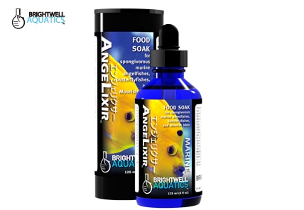 ���󥸥��ꥯ���� ��������ν�����¥�� �������