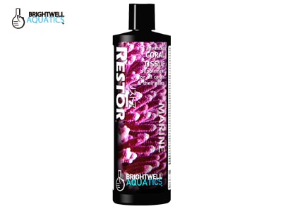 �ꥹ�ȥ��������󥴤κ���������¥��