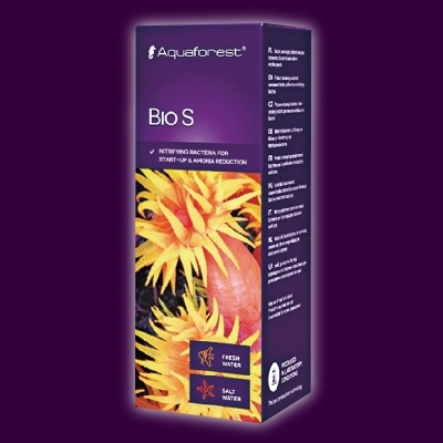 BIO S 10졡˲Хƥꥢ