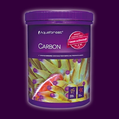 CARBON 1000ml������ǽ����ú