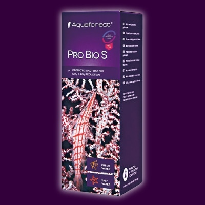 PRO BIO S 10ml ǻ٥Хƥꥢ