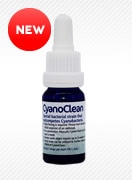 CyanoClean 10ml���������ΥХ��ƥꥢ�����߸���