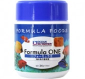 ���������˥塼�ȥꥷ��� �ե졼���Ƽ�