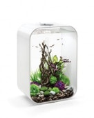 �Х������� �饤��60 �ۥ磻�� �������ȥ�å���