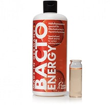BACTO ENERGY ����߸���