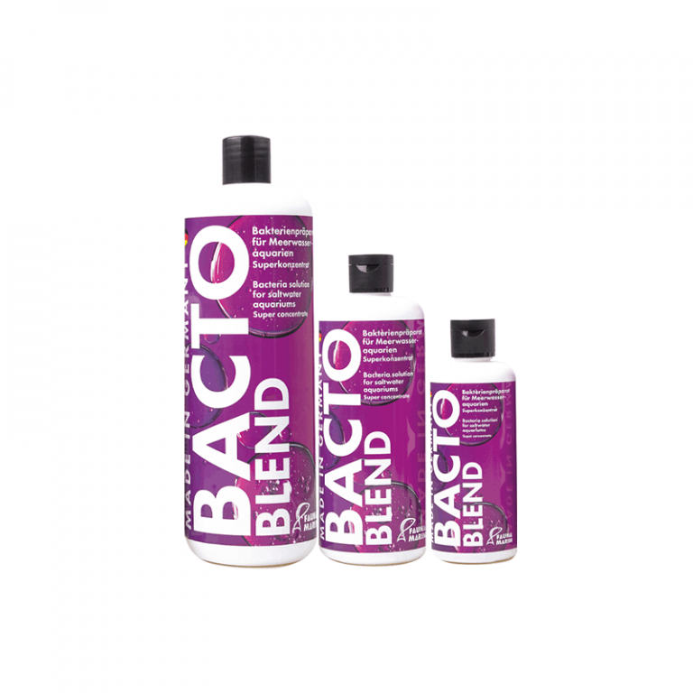 BactoBlend 250ml