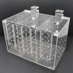 �ޥ���ܥå��� �Ƽ�