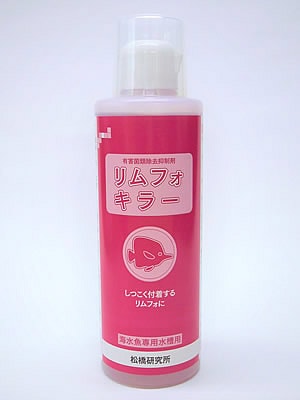 魚の化石 Chloroscyllium sp. 標本 K-1 約100cm 魚の化石 Chloroscyllium sp. 標本 K-1 約100cm - メルカリ