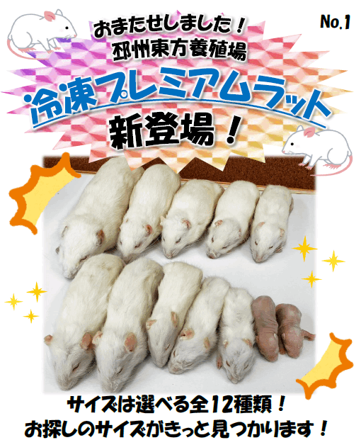 国産冷凍アダルトラットMS及びML Amazon | 国産冷凍ラット (アダルト3L ～320g 2匹入り) | 冷凍
