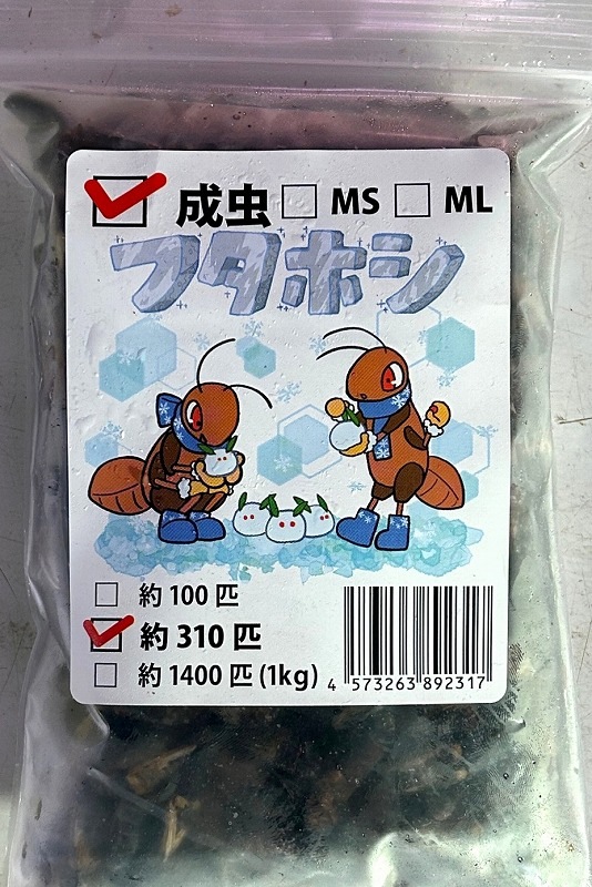 大特価⭐︎国産養殖　乾燥フタホシコオロギ　1kg 大特価⭐︎国産養殖 乾燥フタホシコオロギ 1kg