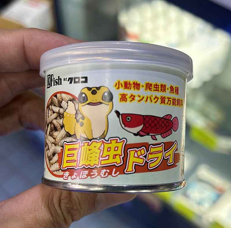 巨峰虫ドライ | すべての商品 | エキゾチックアフリカ通販ショップ