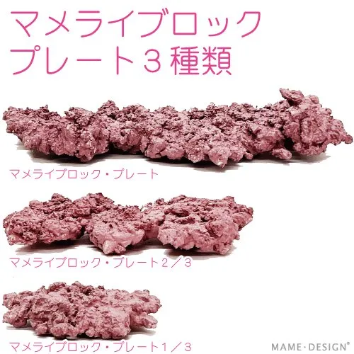 マメライブロック（パープル）プレート（平）型 | ライブロック
