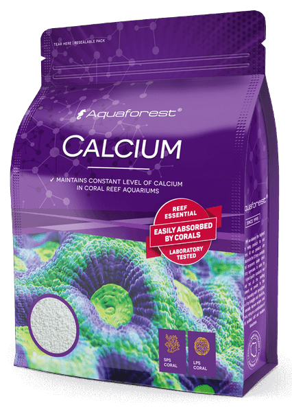 Calcium�ʥ��륷����ѥ�������850g �������