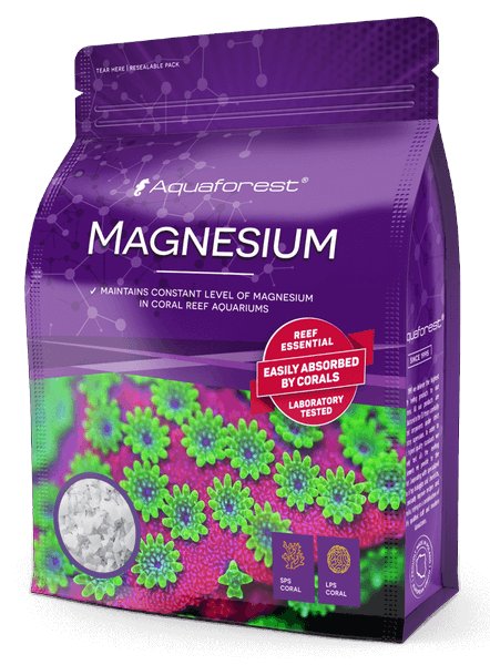 Magnesium�ʥޥ��ͥ�����ѥ�������750g �������