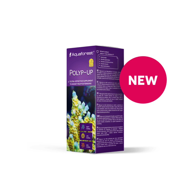 AF Polyp-Up ��SPS���󥴸������ץ�ա��� �������