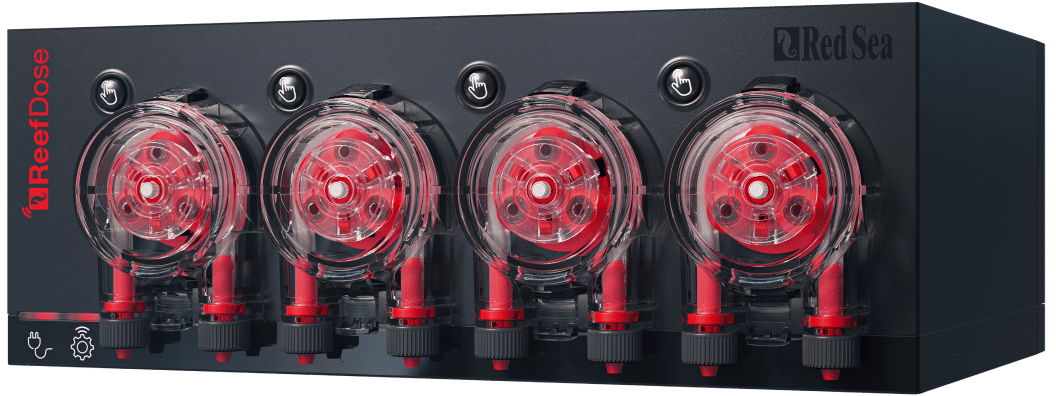 ReefDose4 ※準在庫品 | メーカー別,RedSea | エキゾチックアフリカ通販