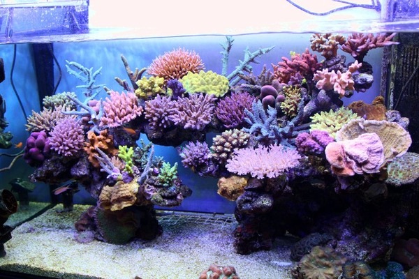 ٤äԤ󻹸ꡡ쥢᥿뭶100硡