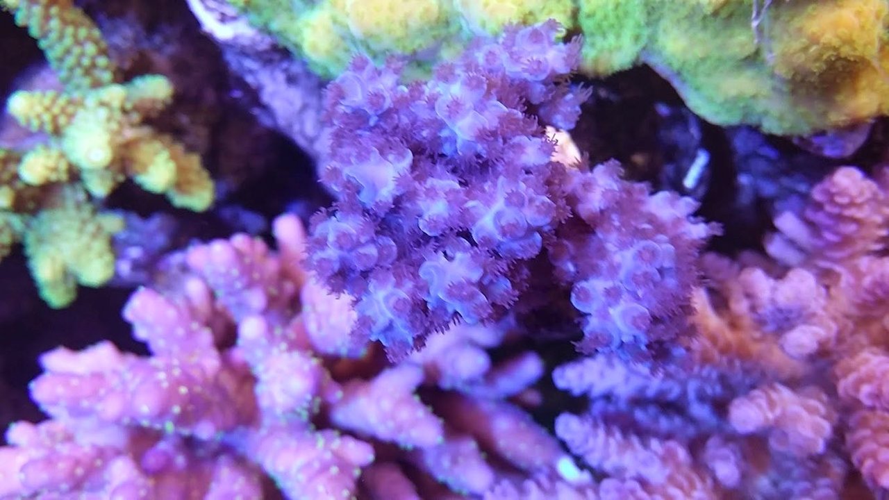 ٤äԤ󻹸ꡡ쥢᥿뭶100硡