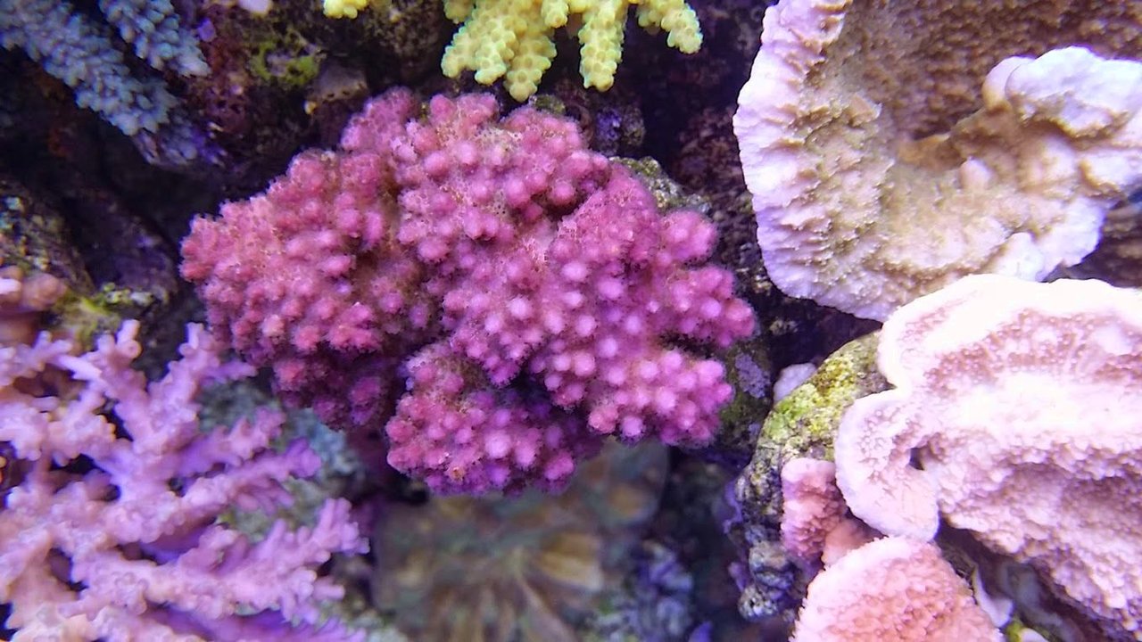 ٤äԤ󻹸ꡡ쥢᥿뭶100硡