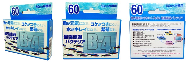 B-4 ø����