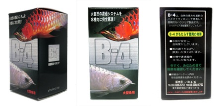 B-4 ø����