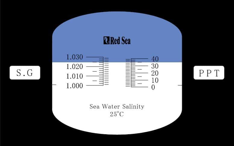 RedSea ե쥯ȥ᡼ ޷ס